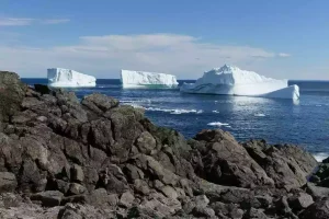 Areas Served 55 newfoundland and labrador canada