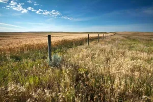 Areas Served 59 saskatchewan canada